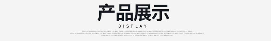 電(dian)熱恒溫鼓風幹燥箱（250度）